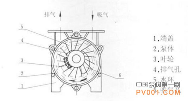 水环式 真空泵 工作原理 水环式 真空泵 工作原理
