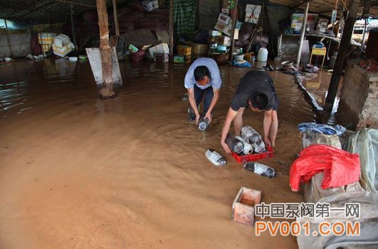 兰州 抢险 挖掘机 抽水泵