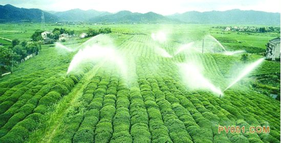 安徽临泉县巨资新建农田高效节水灌溉工程 预计年底完工