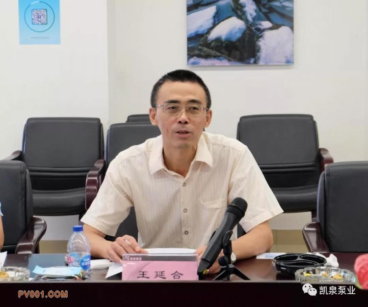 集团总工程师王延合评审发言