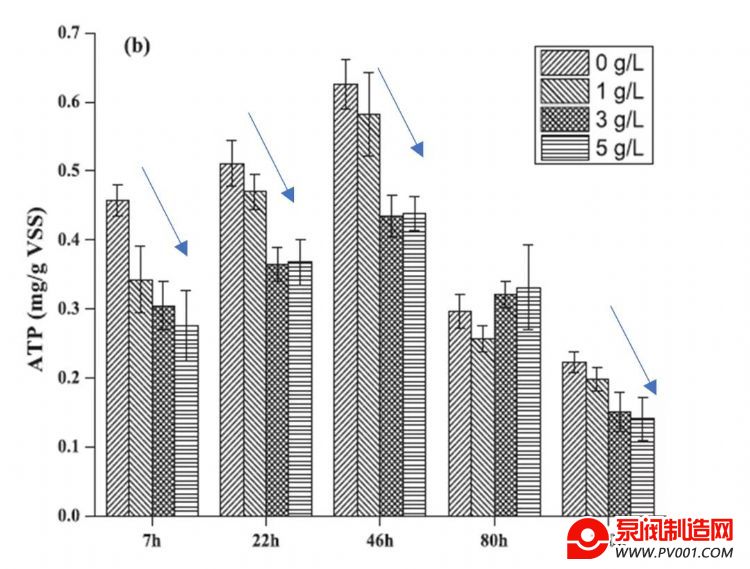 �Ӷ��Ե���������΢���� �ҿ�ATP��������ˮ���������ϵ�Ӧ��-�÷�������