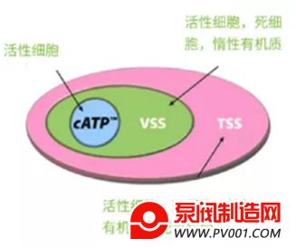 �Ӷ��Ե���������΢���� �ҿ�ATP��������ˮ���������ϵ�Ӧ��-�÷�������