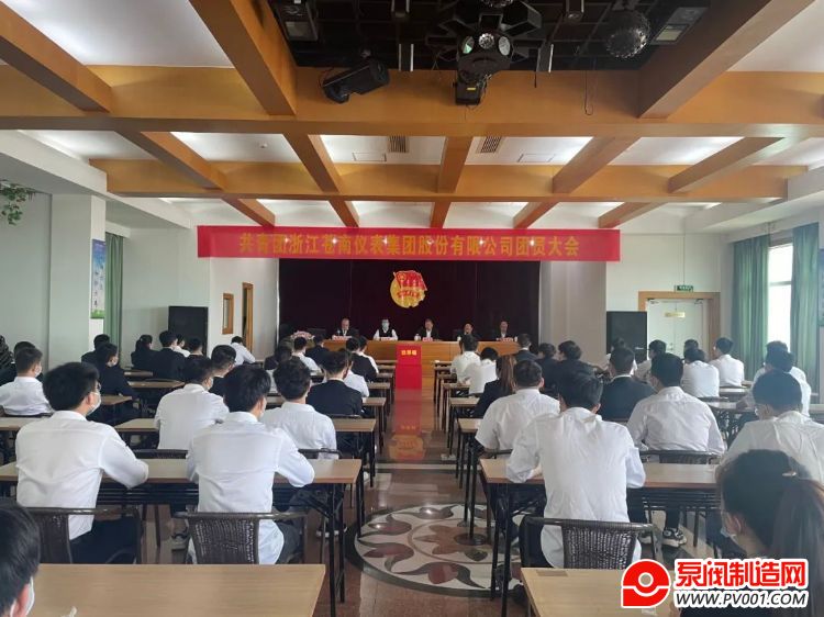 苍南仪表集团召开第三届团委选举换届大会