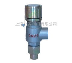 供应A21H/W/F型弹簧微启式外螺纹安全阀