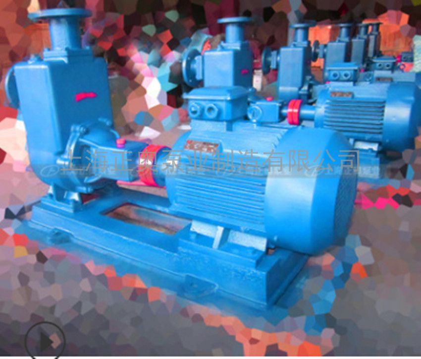 供应32ZW10-20普通型自吸式排污泵 铸铁无堵塞排污泵