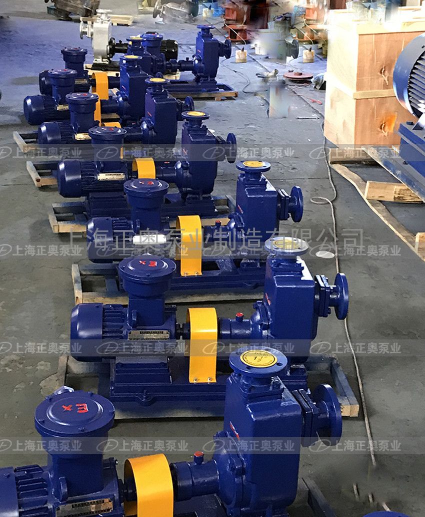 供应100ZW100-15P防爆型不锈钢自吸式排污泵品质保证