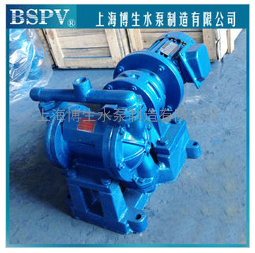 供应上海博生DBY-10型电动隔膜泵 隔膜泵配丁晴膜/四氟膜