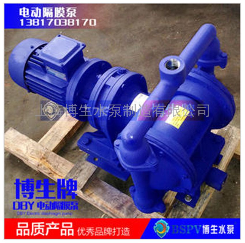 供应上海博生DBY-25型电动隔膜泵 电动隔膜泵输液泵