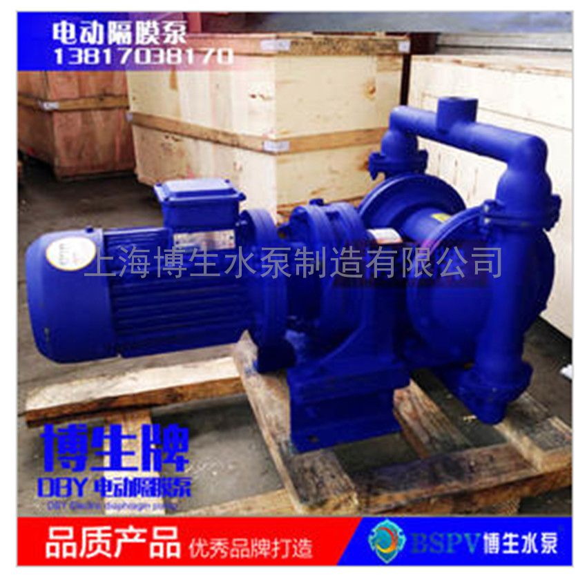 供应上海博生DBY-25型电动隔膜泵 电动隔膜泵输液泵
