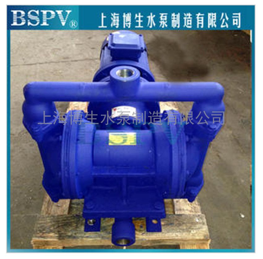 供应上海博生DBY-25型电动隔膜泵 电动隔膜泵输液泵