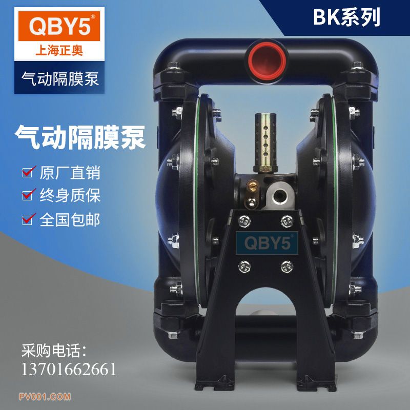 BK增强隔膜泵-0001-010