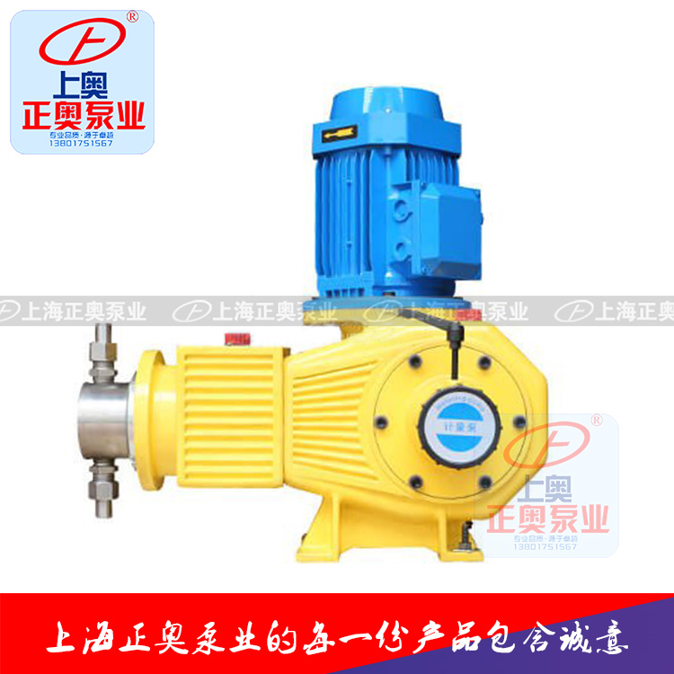 供应正奥泵业DZ-ZR型柱塞式计量泵
