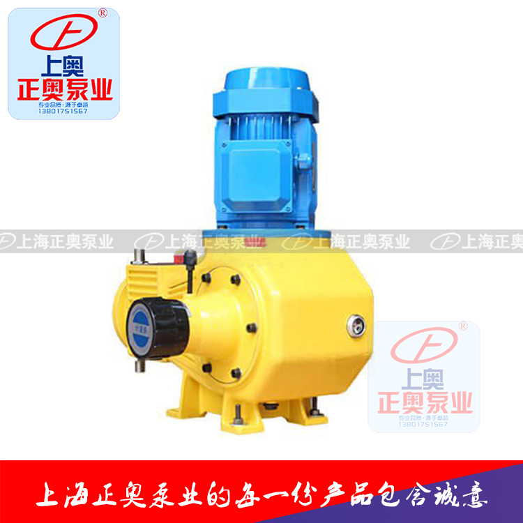 供应正奥泵业DZ-ZR型柱塞式计量泵