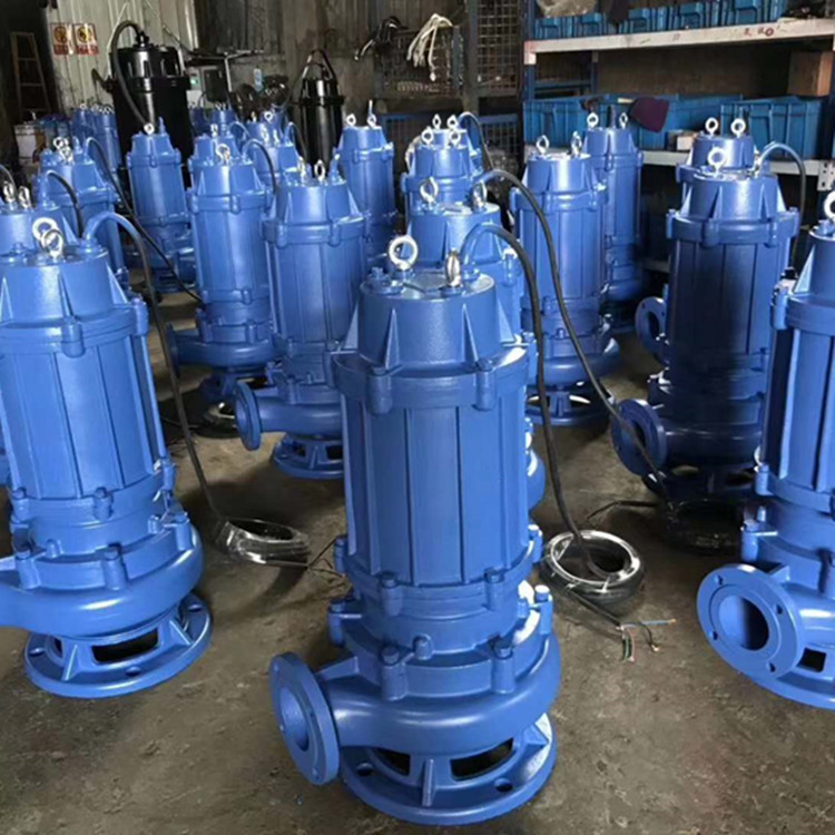 供应100WQ50-7-2.2潜污泵潜水泵