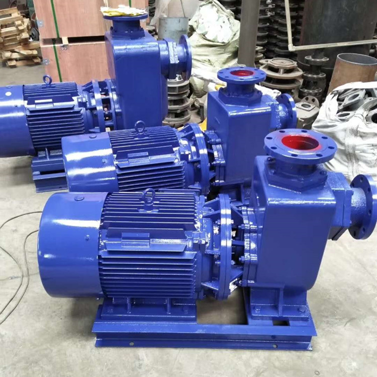 供应40ZW-20-15自吸排污泵