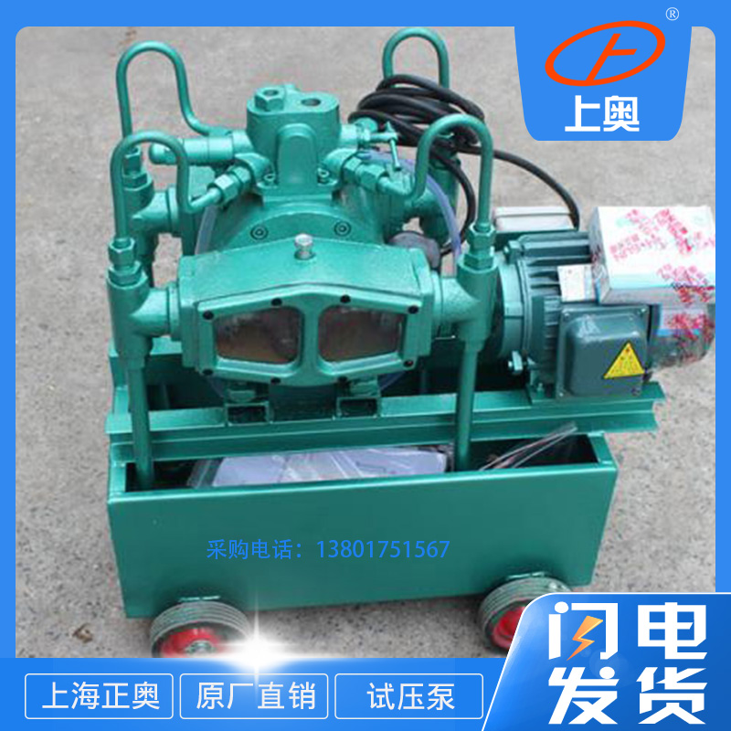 供应正奥泵业4DSY-12/100型电动试压泵铸铁测试泵
