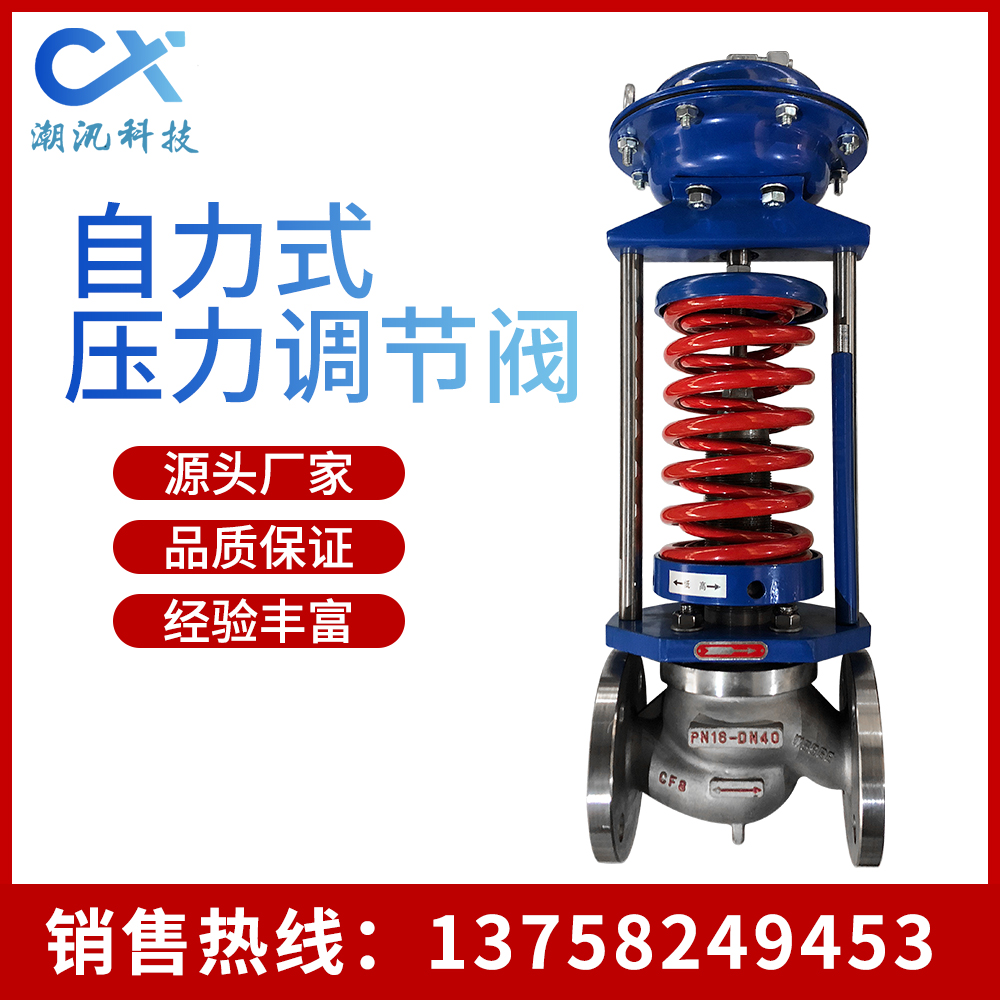 供应ZZYP自力式压力调节阀，蒸汽系统减压阀蒸汽系统调压阀