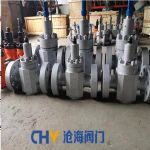 ӦCHVJ׺ZF43Y-250ѹעˮֶƽբ