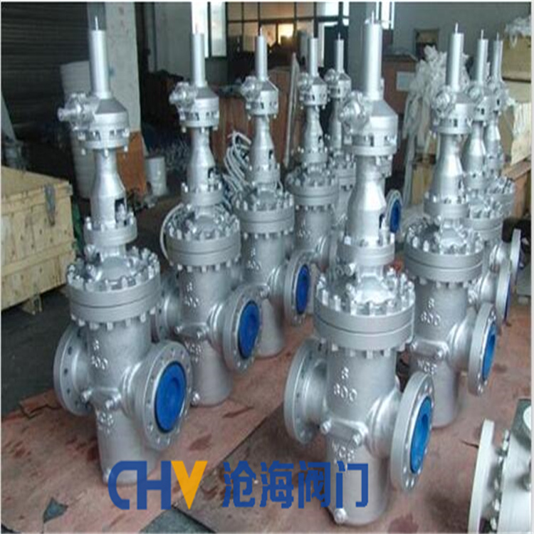 供应CHVJ沧海ZF43Y-200油田专用高压注水平行式闸阀