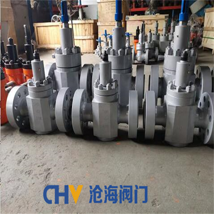 供应CHVJ沧海ZF543Y-420超高压锻钢硬密封平板闸阀