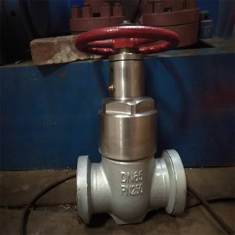 供应GZF83Y-200高压硬密封卡箍平板闸阀