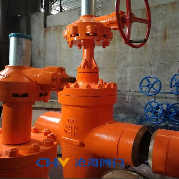 供应CHVJ沧海ZF63Y-320油田专用注水管线焊接平板闸阀