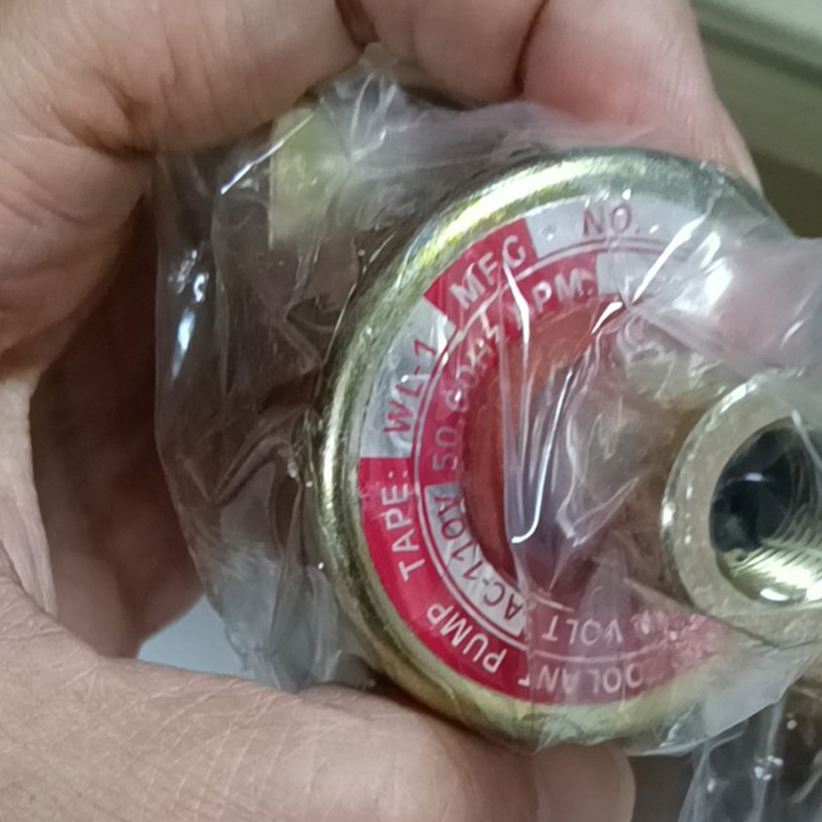 供应维良WL-1-110V电磁泵浦