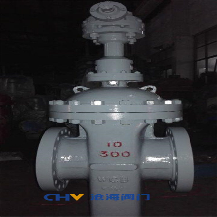 供应CHVJ沧海Z543Y-160高压齿轮传动平板闸阀
