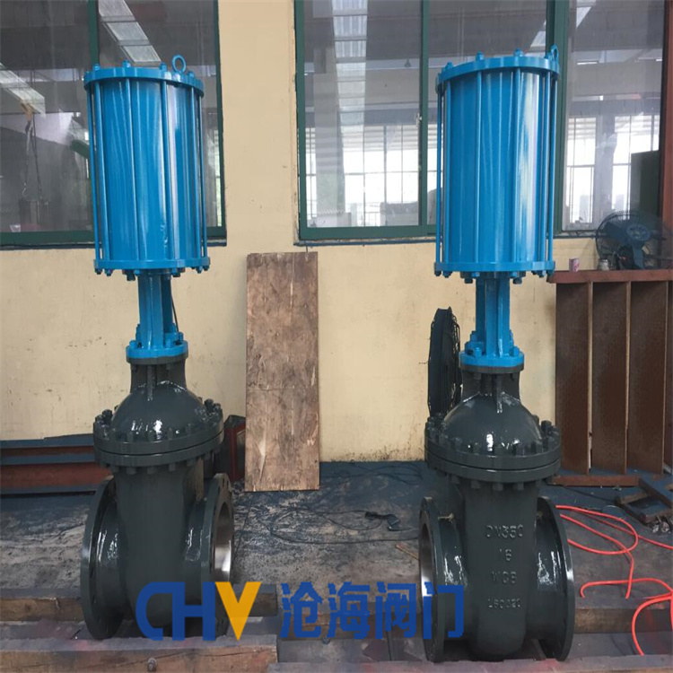 供应CHVJ沧海Z644WY气动切断阀/双闸板平板闸阀