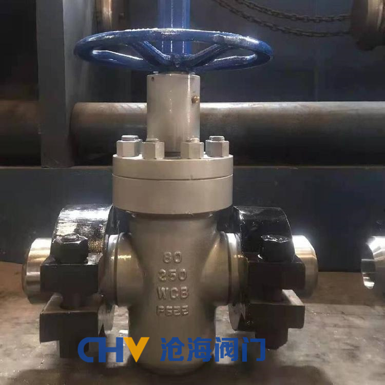 供应CHVJ沧海CHZF83Y高压卡箍平板闸阀