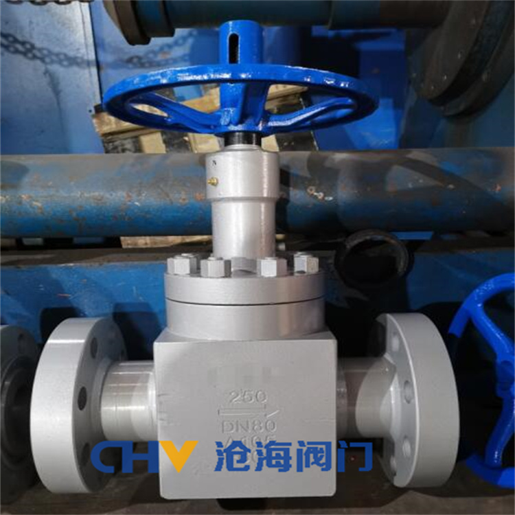 供应CHVJ沧海SJQ46Y自平衡式双作用节流截止阀