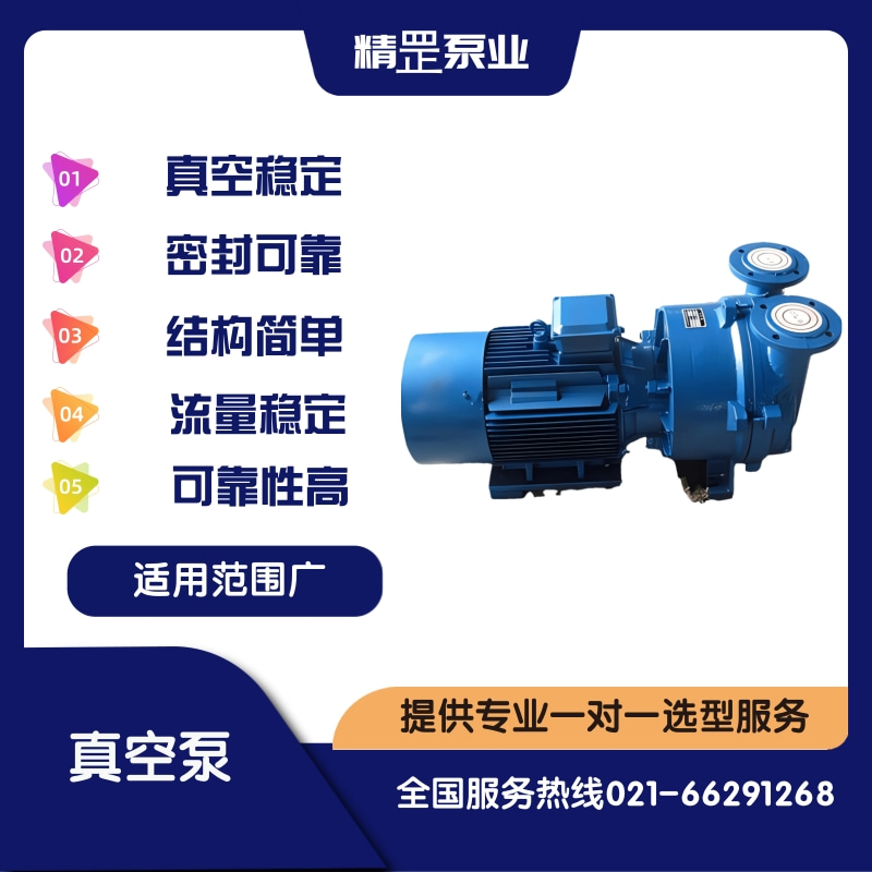 供应精罡泵业SK真空泵，水环真空泵，旋片真空泵