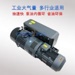 供应风力发电风能新能源生产全自动智能监测真空泵