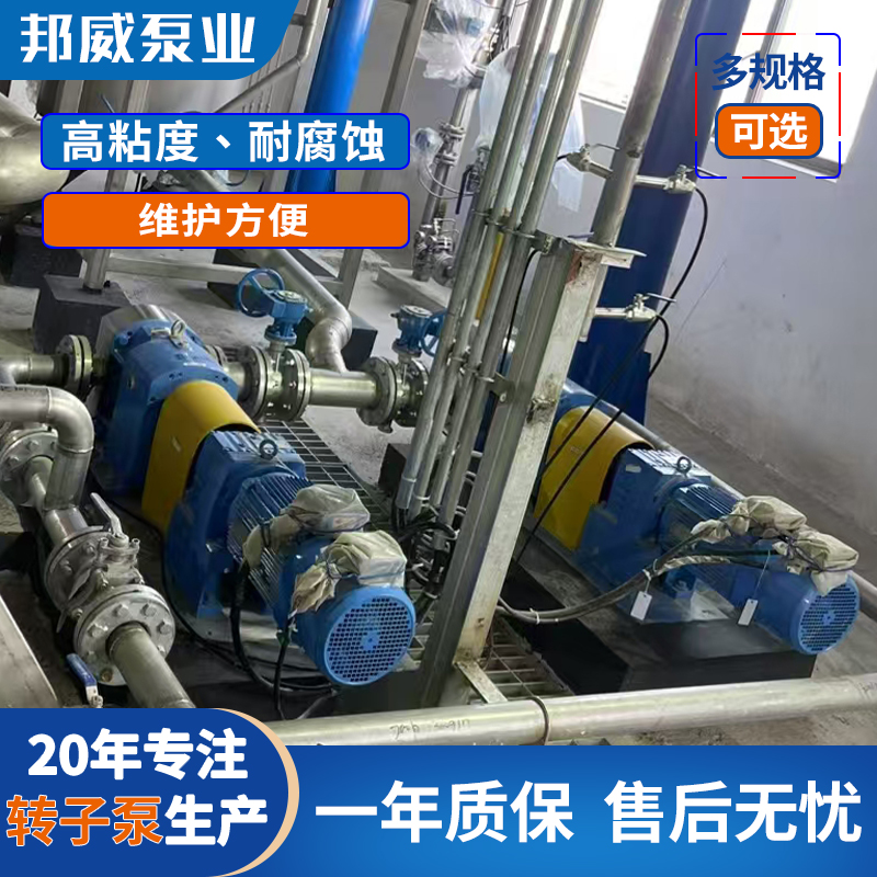 供应干湿强剂 施胶剂 助流助滤剂不锈钢凸轮转子泵生产厂家